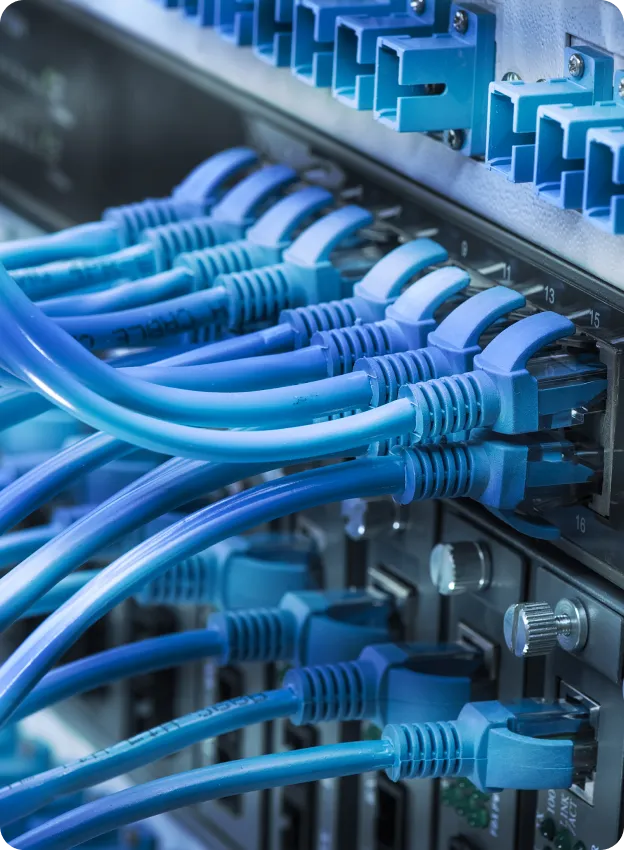 Network cables connected to server.